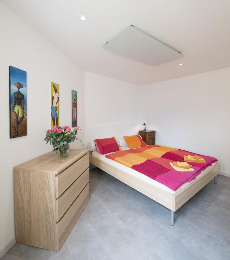 Casa Eva Apartment Ronco sopra Ascona ห้อง รูปภาพ
