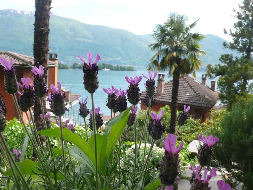 Casa Eva Apartment Ronco sopra Ascona ภายนอก รูปภาพ